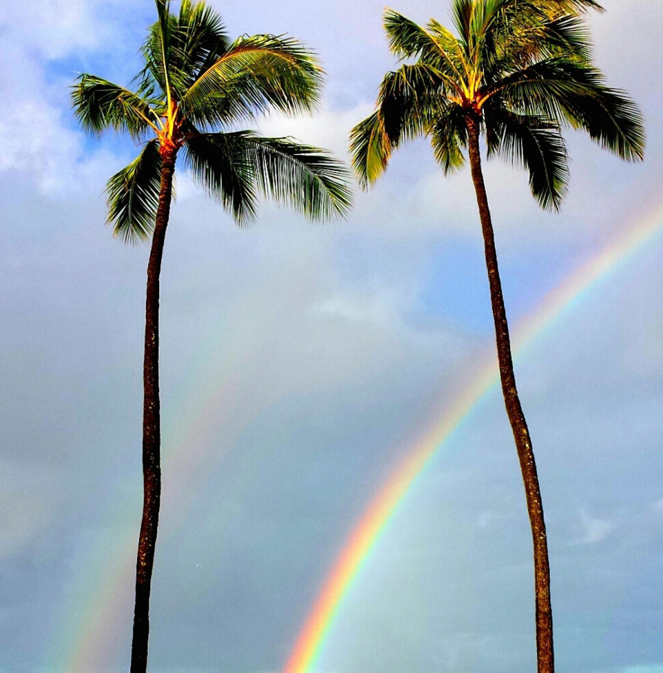 Two Palm Trees with Rainbows