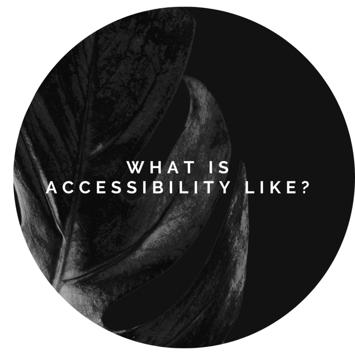 Graphic: what is accessibility like?