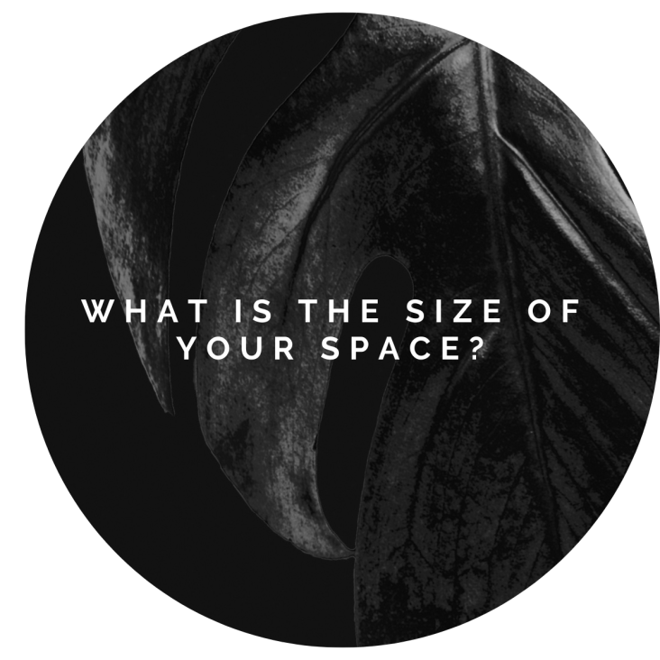 Graphic: what is the size of your space?